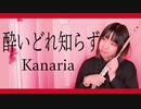 【フルート flute】酔いどれ知らず／Kanaria演奏してみた(歌詞付き)【full Cover by myon】