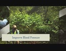 Japanese Knotweed Removal