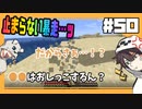 【マイクラ】あなたの名前は、なんですか？#50【HOSクラ】