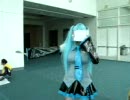 初音ミクコスプレイ as Ievan Polkka