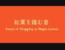 [KORG M01D] オリジナル曲 紅葉を踏む音