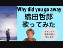 Why did you go away/織田哲郎（歌ってみた）