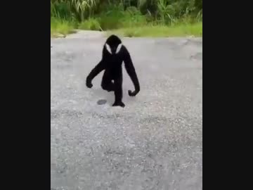 ホモと見る　ヴェノム　実在した