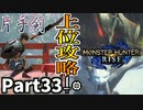 【MHRise】初見で楽しむ！MHRise実況プレイPart33【集★6赤き双眸、夜陰を断つ／集★6琥珀色の牙を研ぐ】