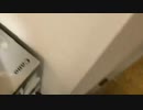 20220731_0704 - ポケモン映画アルセウス見ませんか　10時まで配信 (lv337928876)