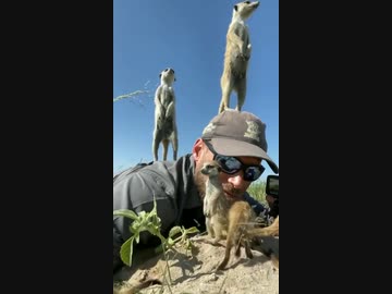 ホモと見る　いいハンターってやつは動物に好かれちまうんだ