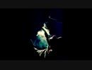 【NNIオリジナル】Jayus