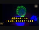 コロナワクチンは癌の爆発的な増加に繋がる