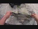 【山形バス釣り】スモールが大繁殖中と噂の最上川に行ってみた　大物連発で