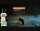 猫になったHSK姉貴.mp9