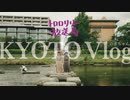 京都Vlogの赤ちゃん
