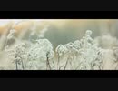 夢見る憧憬【1時間耐久BGM】