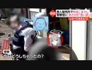 ノリノリ野菜泥棒