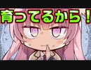 【エロゲ実況】#29　なんかおっぱいマッサージの有効性を熱弁してきた【リドルジョーカー/RIDDLE JOKER】