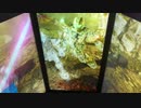 戦場の絆Ⅱ　メサなんとか717