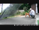 おかえり～