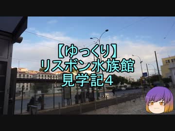 【ゆっくり】リスボン水族館見学記4