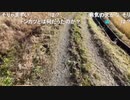 【うまごん】山菜（雑草）の絶品レシピをお届け。2021年12月11日