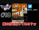会って数日しか経ってないと思うけど【DQ5/iPad】#18