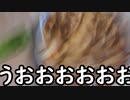 自分をトリコだと思い込んでいる精神異常者が麻婆豆腐を作る動画