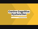 Canine Cognitive Dysfunction Common Signs of Dogs Dementia