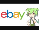 海外オークションサイトebay使ってみた