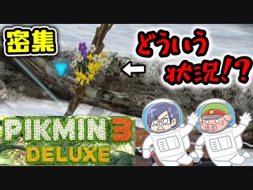 ピクミン3デラックス　＃10