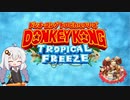 常夏だった島をあかりちゃんが取り戻すドンキーコングトロピカルフリーズ#1