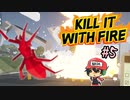下手なホラーゲームより断然恐怖なクモ駆除【Kill It With Fire】＃5