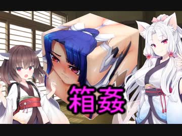 性癖解説～箱姦～