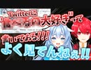 ホラゲーコラボでも騒ぎ続けてしまう天空神と悪魔の新人Vタッグ切り抜き【寒天ちゃん/赤口白夜/新人Vtuber】