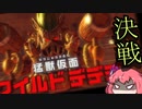 星のカービィ　ディスカバリー(19】決戦.主力包囲網と我を捨てた王【ゆっくり実況】