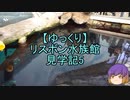 【ゆっくり】リスボン水族館見学記5