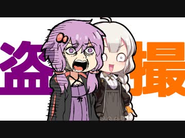 琴葉家を盗撮します【VOICEROID劇場】