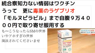 統合察知力ない情弱はワクチン うって　更に毒薬のラゲブリオ　 「モルヌピラビル」まで自腹９万４０００円で取り寄せ服用する も〰こうなったらSMの世界 いやアホすぎの世界　 淘汰されてくださいませ