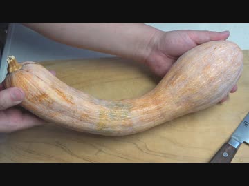 鶴首カボチャ【長火鉢とおっさん276】