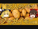 【ゆっくり解説】ジャガイモの栄養について解説！