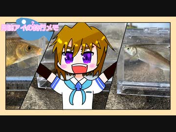 月読アイの?釣行メモ part19【VOICEROIDフィッシング】