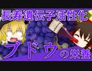 【ゆっくり解説】ぶどうの栄養について解説！