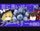 【ゆっくり解説】ブル－ベリーの栄養について解説！