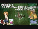 【RO】 全職制覇！？レッドピタヤカードと行くオークの記憶～ホワイトスミス編～