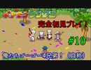 【ﾎﾟｹﾓﾝﾚﾝｼﾞｬｰ】嫁の代わりに俺がエンテイをキャプチャしてやんよPart10