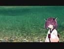 きりたんと眺める管理釣り場の川の中