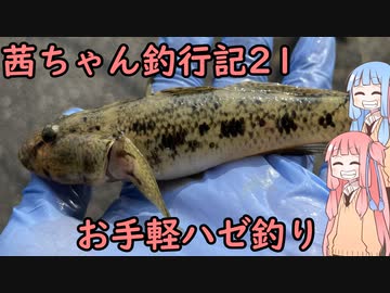 【茜ちゃん釣行記21】お手軽ハゼ釣り