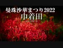 【2022】日高　巾着田　曼珠沙華まつり