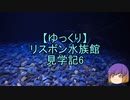【ゆっくり】リスボン水族館見学記6