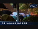 台風でもPCR検査 ／  WHO「流行の終息が見えてきた」／ 中露首脳会談 ／ 台湾政策法案を可決