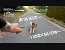 【第51回】帰りたいイヌと貰ったコーヒーと美容室