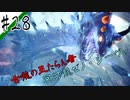 いまさら始めるモンハンワールド忍者狩人が行く#28