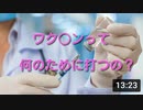 医師が語る567騒動の真実～ワク○ンって何の為に打つの？～
